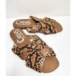 Circus by Sam Edelman Snake Print Criss Cross Slides Sandals Size 6 Photo 2