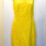 Talbots RSVP by  dress NWT size 4 yellow leaf lace eyelet cutout overlay … Photo 3