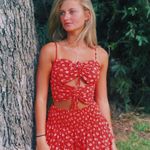 Isabelle's Cabinet skylar madison Tiered Floral fairycore smocked mini skirt Photo 2