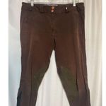 Ladies Brown Riding Breeches With Suede Knee Patches & Pink Logo Detail Photo 1