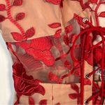 Tobi Sz XS Red Nude Floral Lace Up Corset Dress See Through Panels Valentines Photo 7