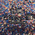 Coach Limited Edition Canteen Crossbody Bag Photo 8