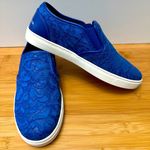 Dolce & Gabbana Lace Slip-On Sneakers Photo 0