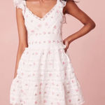 Love Shack Fancy  Finny Lace Trimmed
Floral Minidress size M Photo 0