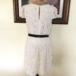 BCBG Maxazria Dress Photo 5