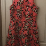 Danny & Nicole FINAL MARKDOWN Ladies’  Dress (14P) Photo 0