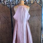 Adrianna Papell Adriana Papell Dusty Rose Gown with Rhinestone and Beaded Neckline Size 16 Photo 4