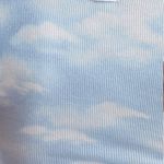 SKIMS  Tank Gift Set Blue Cloud Cotyon Lounge Ribbed NEW With Gift Box! Photo 2