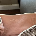 Ccocci  Snakeskin Ankle Booties in Black and Cream Photo 8