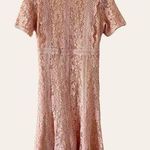 Champagne & Strawberry Pink Lace Short Sleeve Midi Dress NEW Size M Photo 0