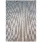 Lane Bryant Pinstriped Ruffle Short Sleeves Collared Button Up Dressy Shirt 26 Photo 9