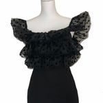 ZARA NWT   Off The Shoulder PolkaDot Mesh Dress Bloggers Fav Photo 11