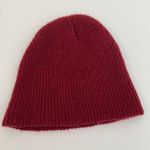 Neff Red/Maroon Unisex Daily Beanie Red Photo 2