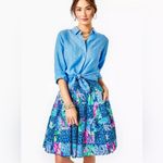 Lilly Pulitzer Bryant Pop Up Lilly's Party Patch A-Line Pleated Skirt Photo 1