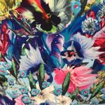 Cynthia Rowley Floral Scuba Pants Photo 4