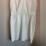 Antonio Melani  Ivory and White Floral Lace Structured Sheath Dress 10 Photo 3