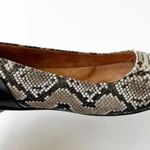 Softwalk  Leather Ballet Flat Women’s Size 8.5 Reptile Embossed Flat Classic Look Photo 1