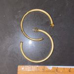 Sheila Fajl Everybody Favorite Hoops Photo 2