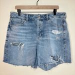 American Eagle  Tomgirl Distressed Shorts Button Fly Size 14 Short Photo 1