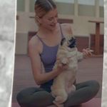 Halara  Canvas Tote Bag Photo 1