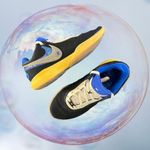 Nike EUC LeBron 20 XX Uninterrupted Speak Your Truth Photo 1