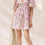 For Love & Lemons 050. Free People x  Milani Mini Dress Photo 4
