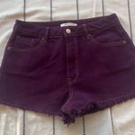 PacSun Shorts Photo 0