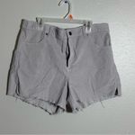 Aerie  Women Ribbed Cut Off Gray Curdoroy Shorts Size Large Photo 1