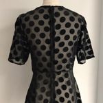 ZARA Textured Polka Dots Dress NWT Photo 4