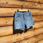 Rag and Bone NWT Dre Low Rise Denim Jean Cut Off Shorts Photo 3