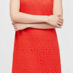 Hill House  Charlie Shift Mini Dress, Poppy Red Scallop Lace, Small Photo 0