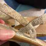 Boc Sandals Open toe w/ Toe loop and ankle strap Women’s size 9M Speckled Photo 8