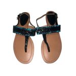 Coach ✨ Ladies Sammy Turquoise Blue Zebra Ankle Strap Sz 9 Sandals✨ Photo 6