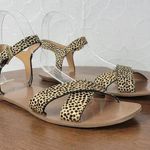 J.Crew Womens Sandals 7 Tan Black Animal Leopard Print Calf Hair Strappy Flats Photo 0