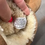 UGG Classic Chestnut Boots Photo 7