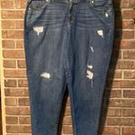 Lane Bryant Distressed  Borfriend jeans size 20R Capris Length Photo 0