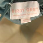 Birdy Grey NWT  Kaia Dress in Chiffon Sea Glass with pockets medium Photo 7