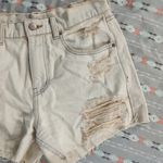 BDG Drop Waist Destory Jean Shorts Photo 2