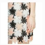 Kate Spade Tiger Lily Blush Flower Lace Dress Size 4 Embroidered Photo 2