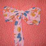 Grey Bandit  x Ana Bikini  Photo 2