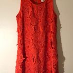 Allison Joy sz XS Photo 2