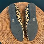 Kelly & Katie  Animal Print Flats Photo 6