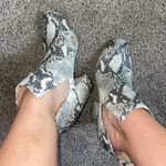 Steve Madden Snake Skin Booties Photo 3