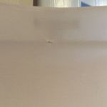 CHAPS Midi Black & Cream Sleeveless Swing Dress SZ L Has 2 Small Pulls … Photo 10