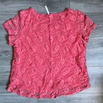 Leo & Nicole  Lace Blouse Photo 1