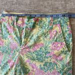 Lilly Pulitzer Palm Beach Fit Shorts Sz 4 Pink Green Floral Flamingo Stretch Photo 4