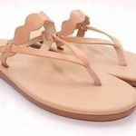 NEW Ancient Greek Sandals 42 Hydor Leather Flip Flops Thong Slides Dustbag 12 Size undefined Photo 0