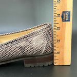 Coach  Palmer Taupe Gray Snakeskin Python Leather Penny Lug Soles Loafers Size 8B Photo 9