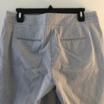 Ann Taylor Shorts Photo 10