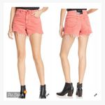 Alexander Wang  Bite Red Denim High Rise Shorts Photo 1